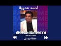 موال الجمل