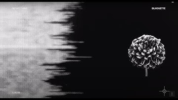 REFLECTIONS | NOIR (Official Visualizer)