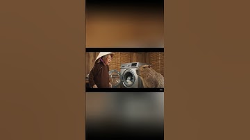 Capy giúp bà rửa chén và cái kết #capybara