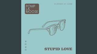 Stupid Love - Pomplamoose