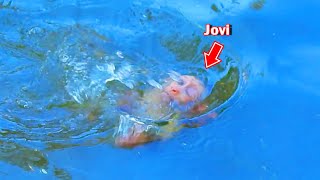 God help.! What happened to Jovi ? Joyce l-o-s-s Jovi in deep water