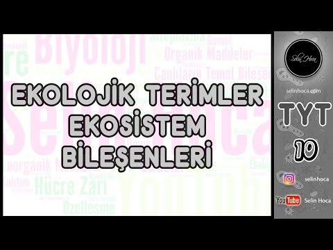 15) Ekolojik Terimler ve Ekosistem Bileşenleri