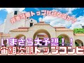 【旧ゆっくり宝塚解説】#3 宙組トップコンビ大予想~芹香斗亜トップ就任なるか!?~