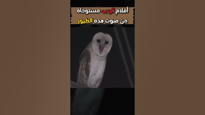 أصوات الطيور الأكثر رعبا