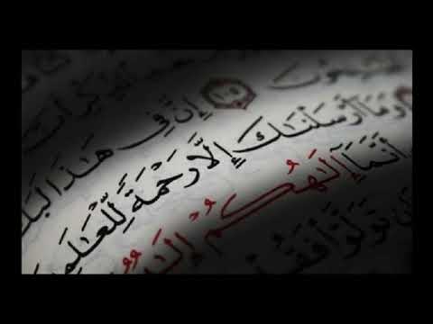 بين السائل والفقيه تعرف على المنهج النبوي في الفتوى