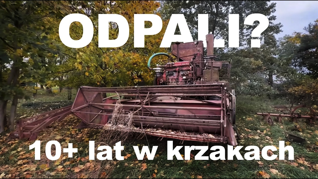Kombajn stał 10+ lat w krzakach, czy odpali? rozbieramy silnik w polu. Kombajn Vistula