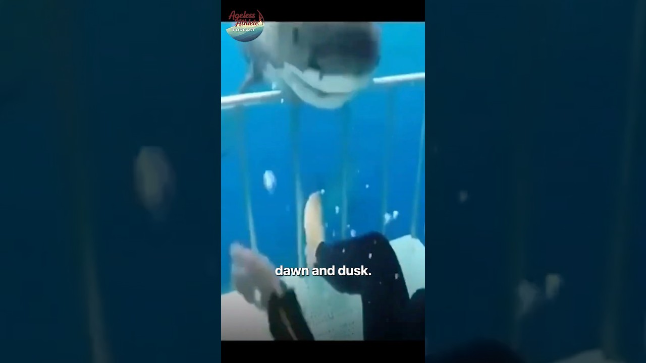 3am. 40° Water. Sharks. She Jumped In Anyway.