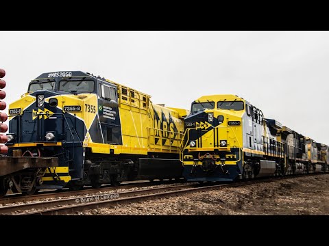 Vídeo: 11 Viajantes Foram Retirados Dos Trens Na Região De Vologda