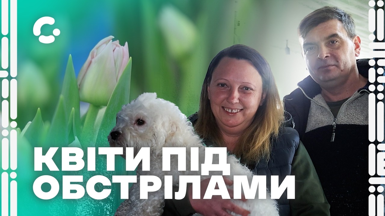 Прийде весна: подружжя із Запоріжжя, яке вирощує тюльпани під обстрілами, підтримали Нідерланди