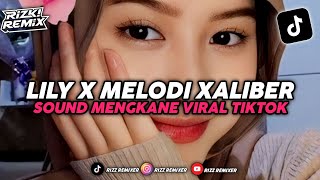 DJ LILY (BOOTLEG) X MELODI XALIBER MENGKANE VIRAL TIKTOK 2024