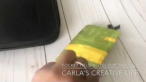 Pocket Field Notes Flip Through