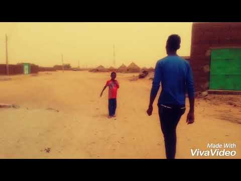 محمد احمد الشايقي