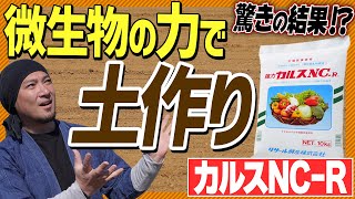 【土づくり】雑草を使った土づくり微生物の力を借りて畑を耕す方法をまるっと紹介