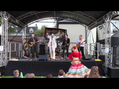 Love Like Vodka Has A Bite - Rogora Khart - Break Neck Punk Rock - Usk Festival