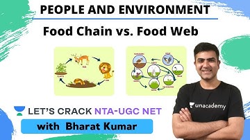 Food Chain vs. Food Web | People and Environment | NTA UGC NET Paper 1 | Kumar Bharat
