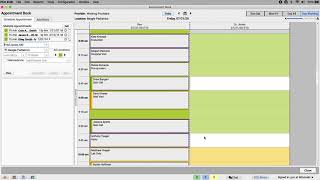 Schedule Multiple Appointments in PCC EHR