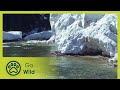 Land of Crystal Waters - The Secrets of Nature