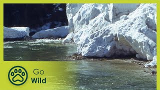 Land of Crystal Waters - Go Wild