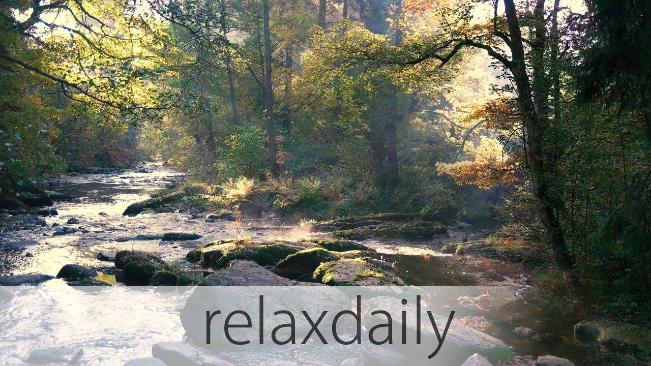relaxdaily - N°010 [Season 1 Album Version] - YouTube