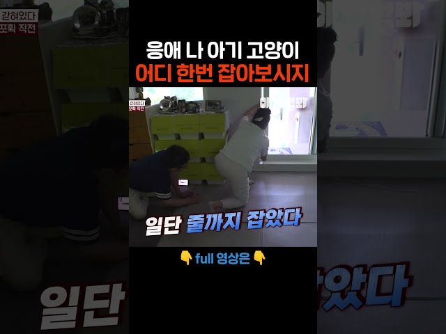 못 잡았죠? #애니멀봐 #shorts