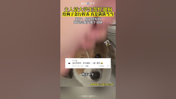 你人还怪好勒！主人请大学生帮忙遛狗，念行程表时狗子的表情亮了！ - 天天要闻