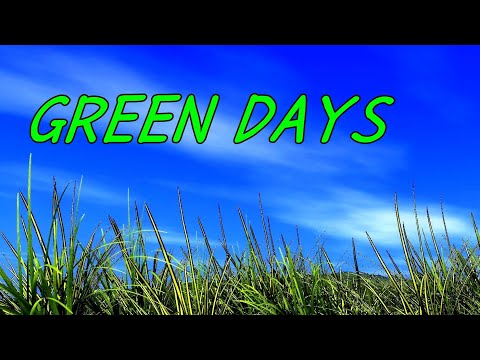 GREEN DAYS 槇原敬之 歌詞付 
