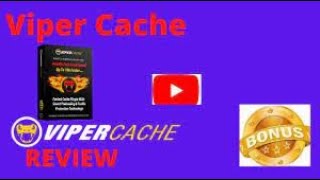 Famous VIPER CACHE BEST WORDPRESS PLUGIN!! Net Worth