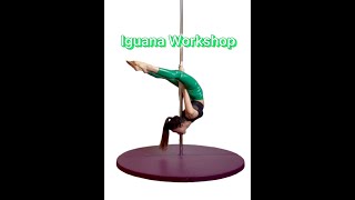 Iguana Workshop - Pole Dance