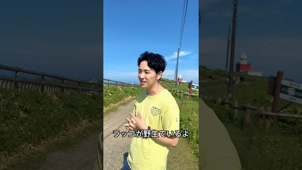 【霧多布岬】北海道で野生のラッコをみにきた霊媒師