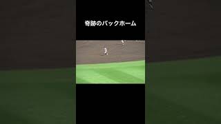 「鳥肌立った」奇跡のバックホーム！　#高校野球 #関東第一 #神村学園 #第106回全国高校野球選手権 #甲子園