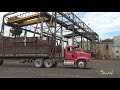 Unloading Cane Trucks at Lafourche Sugars