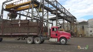 Unloading Cane Trucks at Lafourche Sugars