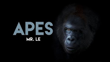 APES 1-3 and 1-4 Screencast 2024