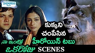 Tabu Ends Dogs Life Naa Intlo Oka Roju Telugu Movie Scenes Tabu Hana Shemaroo Telugu