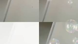 Ahmet Sümer Garip Sevdiğim