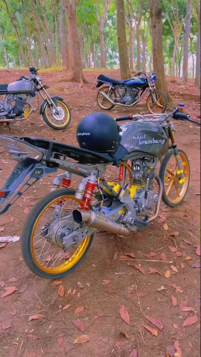 tiger herex lagi nyantai mbois poll || silver mbois || story wa