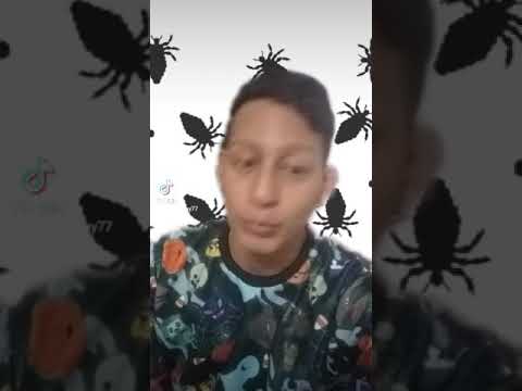 Видео: SOÑAR CON GATO 