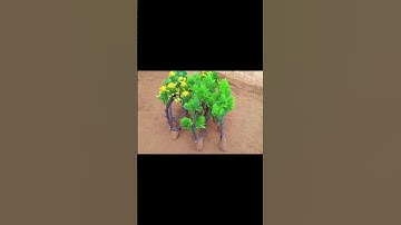 diy tractor trolley loading new technology science project part 3