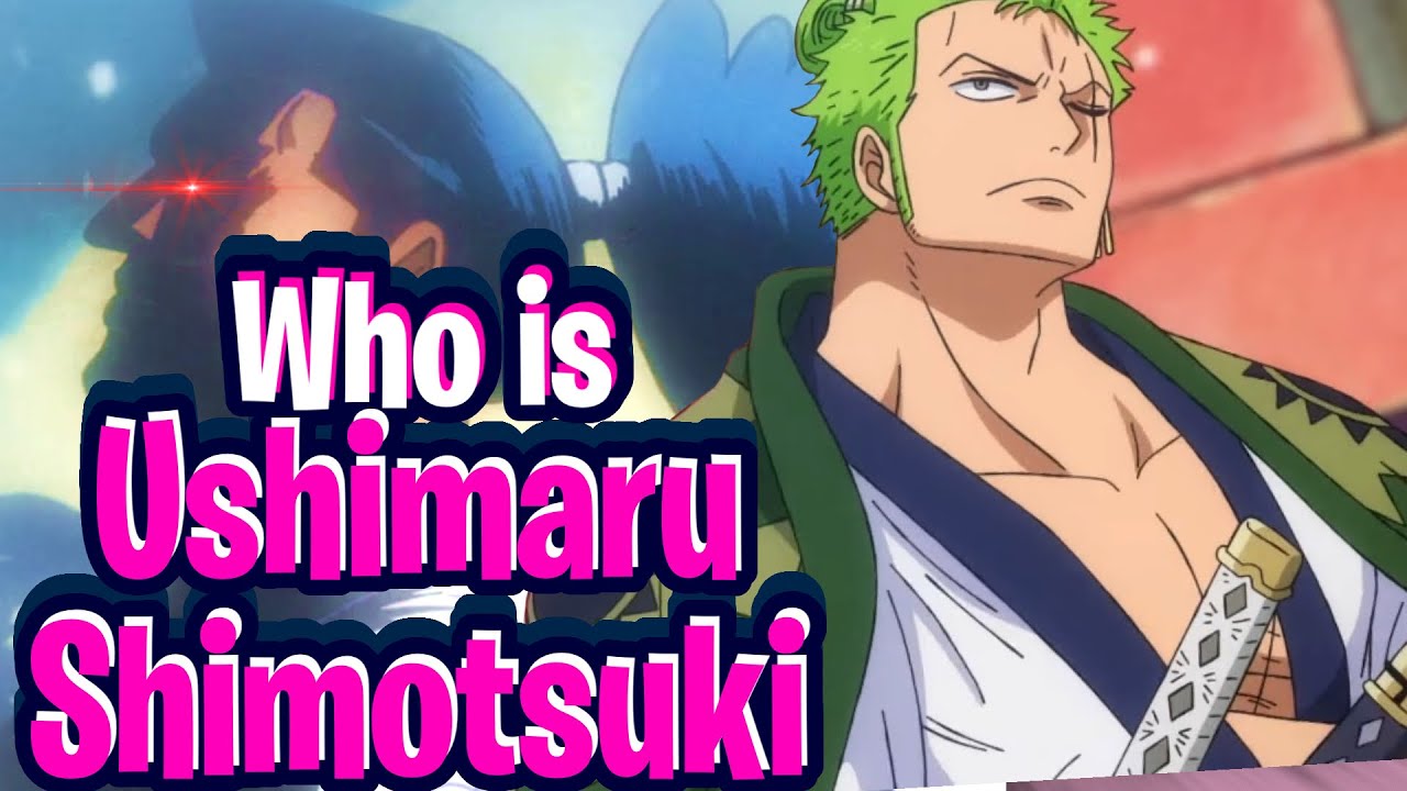 Is Zoro the son of Shimotsuki Ushimaru in One Piece? - Quora