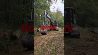 Building a new road cross the swamp
