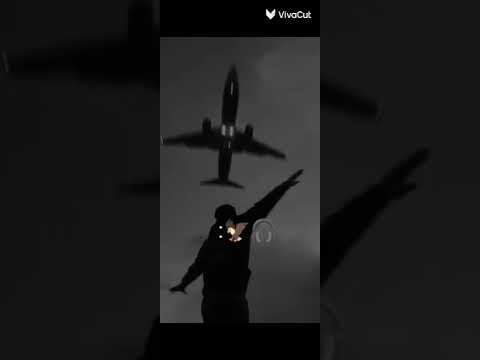 انشاء الله غيري يرضيك ترند شامي بتهون