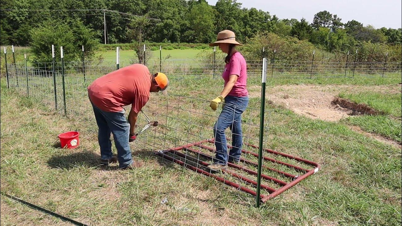 Finally Starting our EPIC Pig Pen Build!!! - YouTube