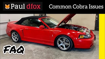 BUYING A 2003-2004 SVT COBRA TERMINATOR?  Then you should know the FAQ and the common issues!