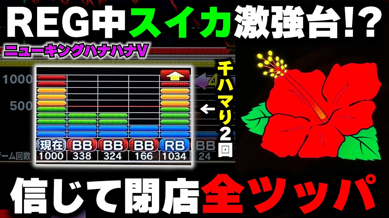 【ニューキングハナハナ】REG中スイカ激強の内容抜群台!? 1日1000Gハマり2回を乗り越えて閉店全ツッパした結果...【パチンカス養分ユウきのガチ実践#442 】
