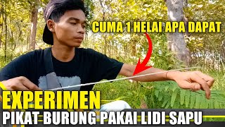 EXPERIMEN!! MEMIKAT BURUNG MENGGUNAKAN MP3 DAN SATU HELAI LIDI