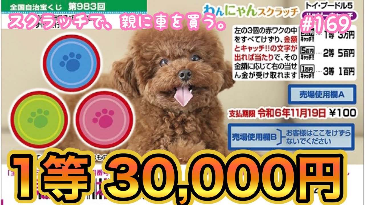 Dog and Cat Scratch Toy Poodle 5 Happy Catch] Try 10 tickets for a