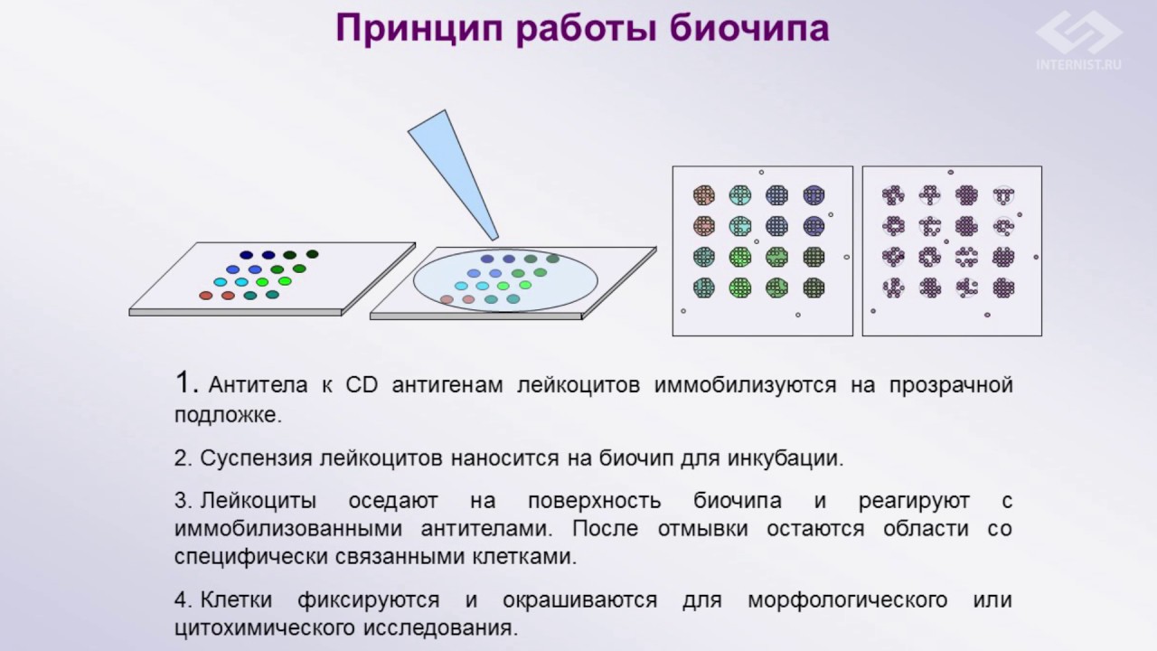 Днк тест на сво