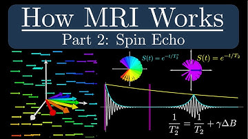 How MRI Works - Part 2 - The Spin Echo