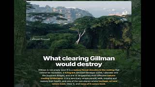 Walkthrough of "Save Gillman Forest Website"