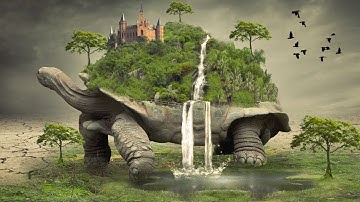 Big tortoise photo manipulation | photoshop tutorial cc